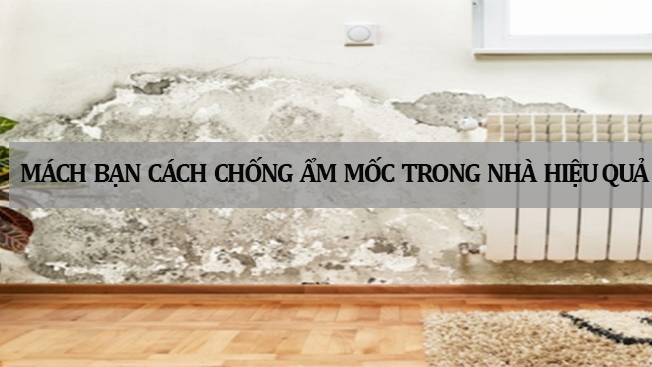 Mùi ẩm mốc trong nhà Cách trị mùi ẩm mốc trong nhà, làm thế nào để hết mùi ẩm mốc và chống mùi hiệu quả